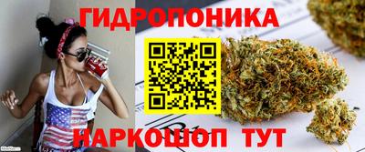 MESCALINE Гай