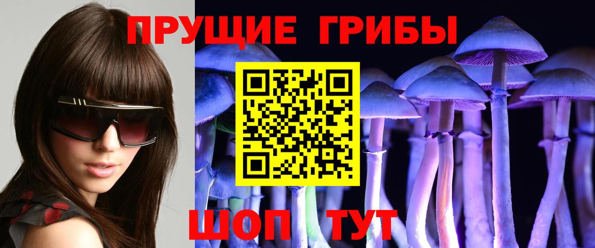 Грязи  Галлюциногенные грибы мухоморы  Вход с VPN 